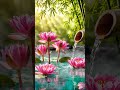 Relaxing Water Sounds 💧 Peaceful Zen Ambience #shorts