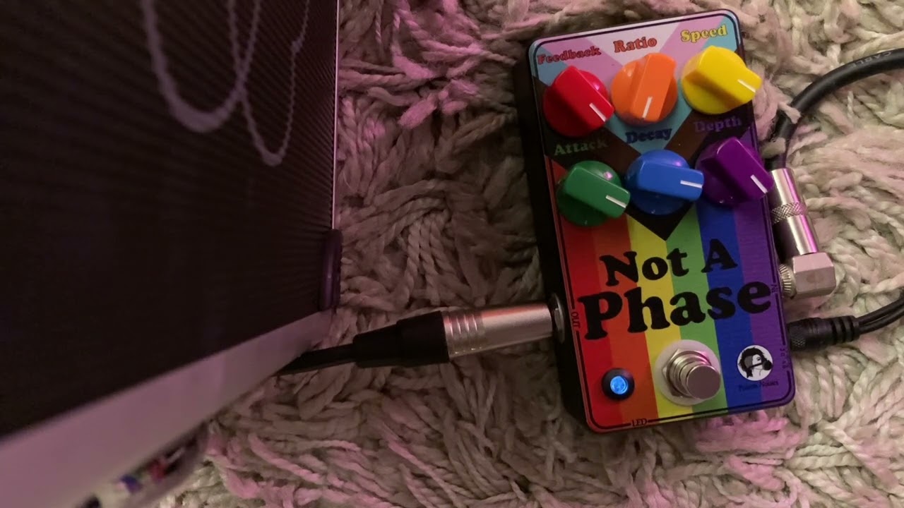 Deb Googe - Not A Phase