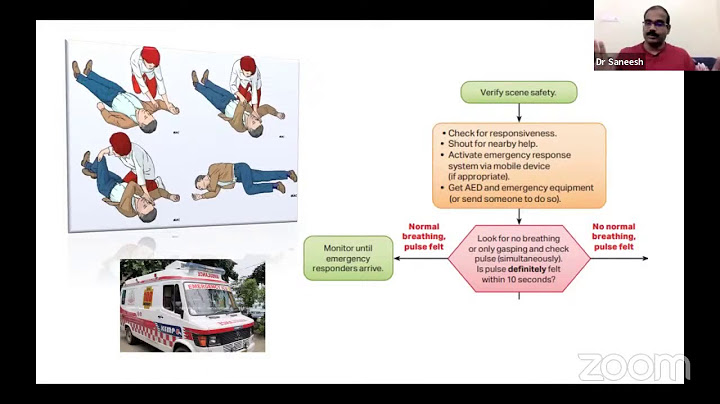 American heart association basic life support online