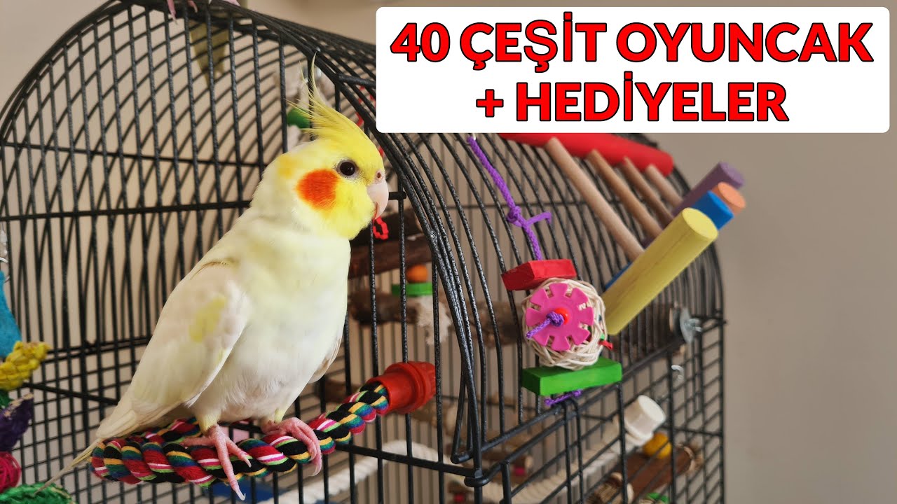 YENİ OYUNCAKLAR VE HEDİYELER