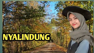Jalan Menuju Kp. Nyalindung Desa Pabuaran, diiringi Lagu Pop Sunda@infodesa2023