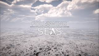 Following Seas -- Physics and Animations