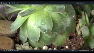 SharpStack: focus stacking for Windows