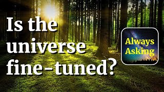 Is the Universe Fine-Tuned? - AlwaysAsking.com screenshot 5