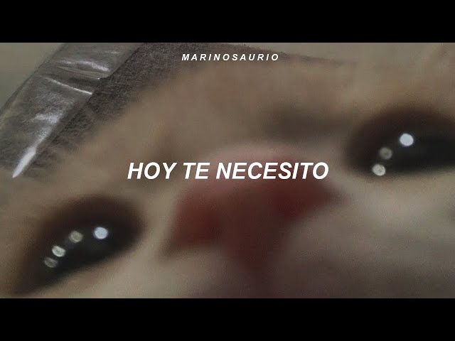 Las Ligas Menores - Accidente (Letra) || y de pronto un accidente 🩷