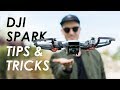 DJI Spark Tips and Tricks (Cinematic Quickshot Mode and Gesture Control)