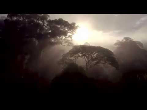 ირაკლი ბუცინაშვილი - ყველაფერი კარგად იქნება / irakli butsinashvili - yvelaferi kargad iqneba