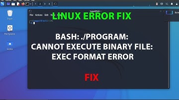 LINUX: bash: ./program: cannot execute binary file: Exec format error