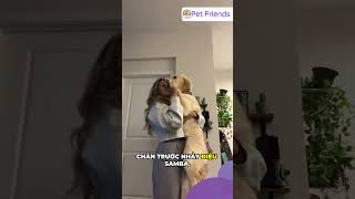 🚫Chó Ghét Nhất 5 Trò Này Của Sen Nhưng Đành Ngậm Ngùi Cam Chiụ 😂 #chó