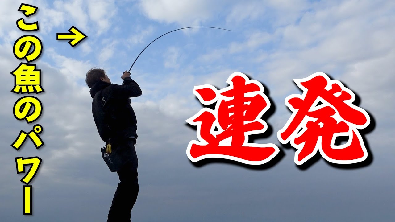 モンスターとガチファイト連発！フルパワーで相手しないとやばい！根魚