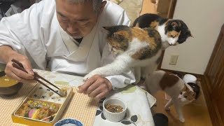 住職の朝ごはんがシウマイ弁当の日。