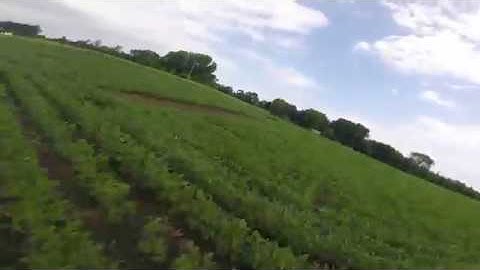 Xhover Stingy Raw Freestyle