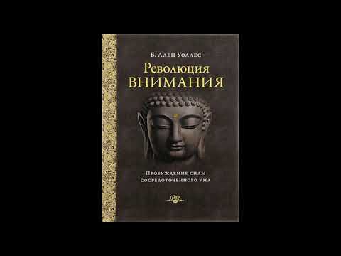 Революция внимания 2