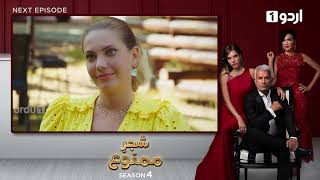 Shajar-e-Mamnu | Episode 273 Teaser |Turkish Drama| Forbidden Fruit | Urdu Dubbing |24 December 2021