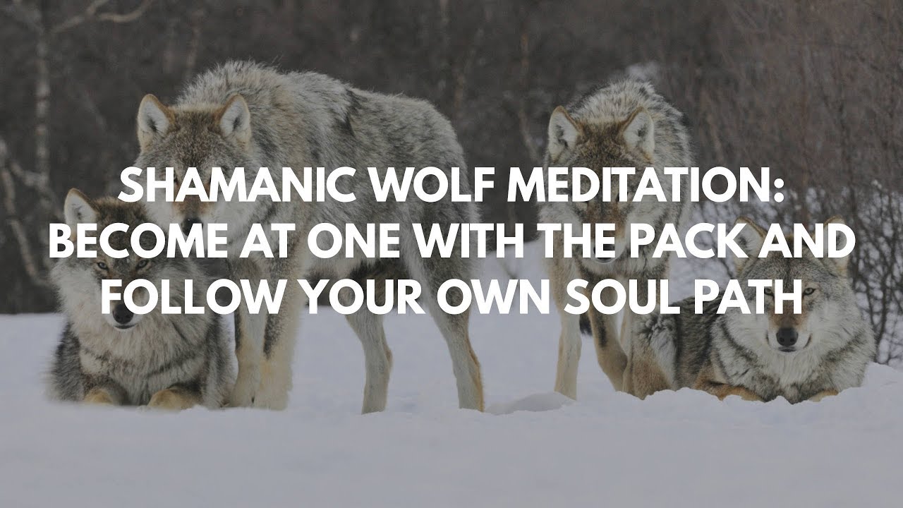 shamanic journey wolf