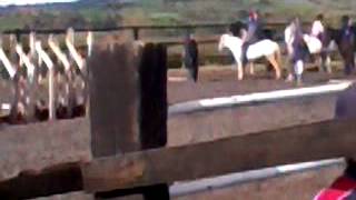 Easter camp 2012 day 2 ponygames!! ;)
