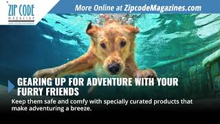 Keep Fido Safe and Healthy This Summer