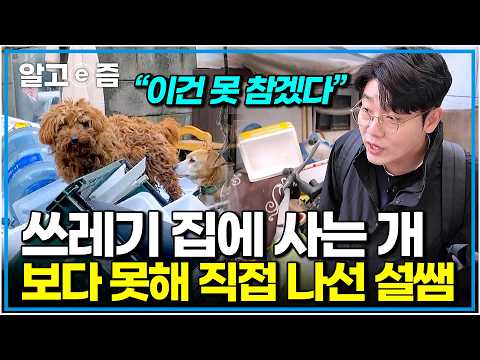 할아버지 보호자와 쓰레기 더미에 방치된 강아지 두 마리 구조하러 갔다가 큰 결단 내린 <strong>설채현</strong> 수의사｜세상에 나쁜 개는 없다｜알고e즘