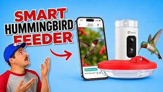 Birdfy Hum Feeder: Actually Worth It?