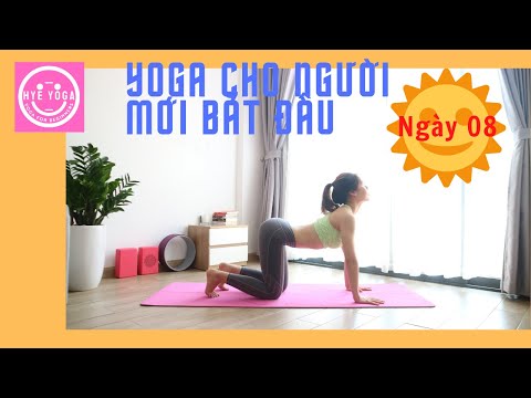Yoga Cho Người