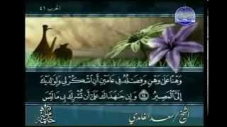 complete Quran Arabic Juz'  21  Shaikh Saad Al Ghamdi