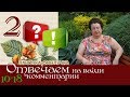 Отвечаем на ваши комментарии 9-18