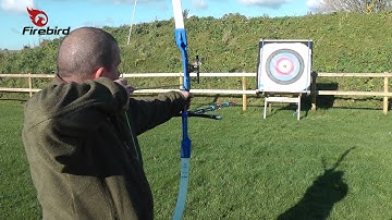 Firebird Reactive Targets