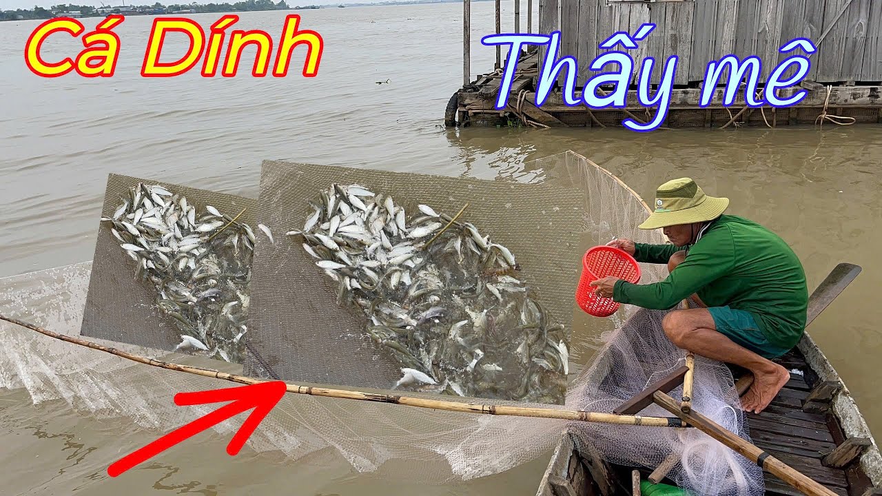 Xúc Được Vợt Cá Khủng Nhờ Cách Này Rất Hay Mà ít Ai Biết.!!