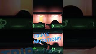 TRIPLE MUTATION!! #ark #arksurvivalevolved #breeding #mutations