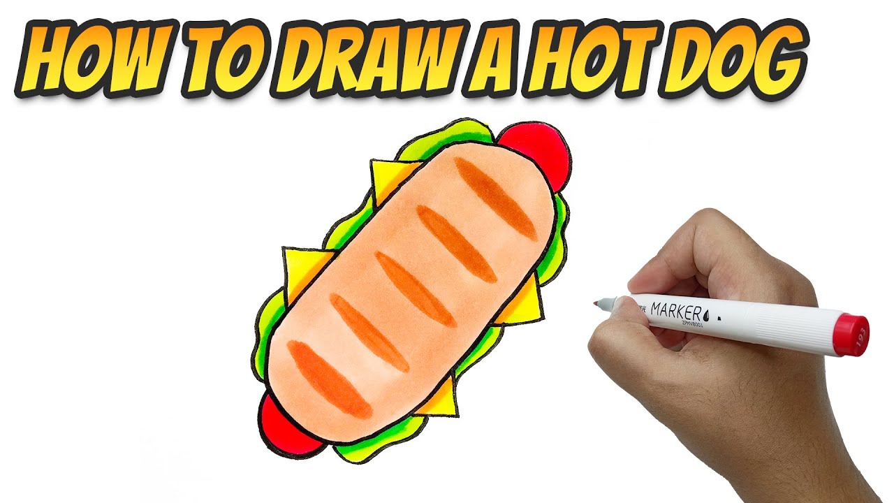 How to Draw & Color a Hot Dog Step by Step How to Drawing & Coloring