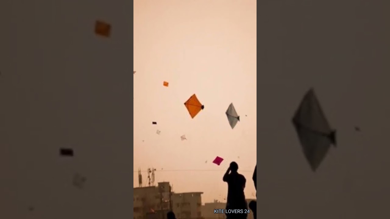 Kite Lover ❤️| TIKTOK VIDEO| #shorts #kite #shortvideo