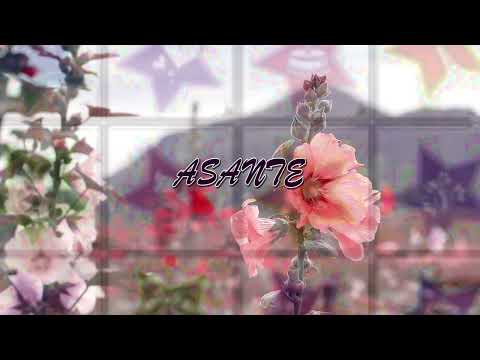 Asante Lyrics Elpaulo Jegele