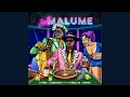Cyfred & LeeMcKrazy - Saka Malume (Official Audio) (feat. Tumelo_za, Sayfar) | AMAPIANO