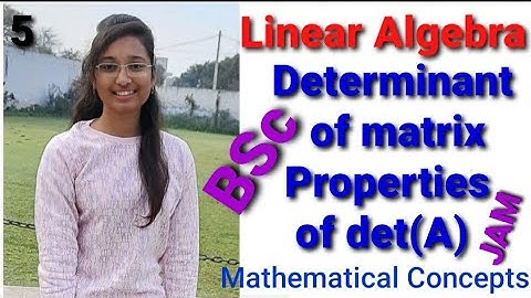 Determinant of matrix and its Properties (Linear algebra)