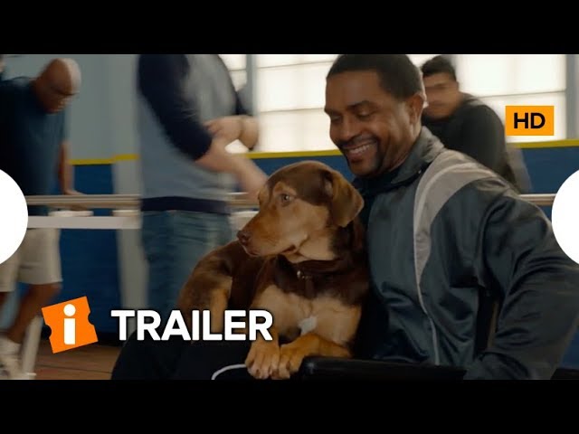 A Caminho de Casa | Trailer Dublado