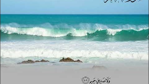 تلاوات خاشعة ما تيسر من سورة الشعراء الشيخ #يوسف_الصقر