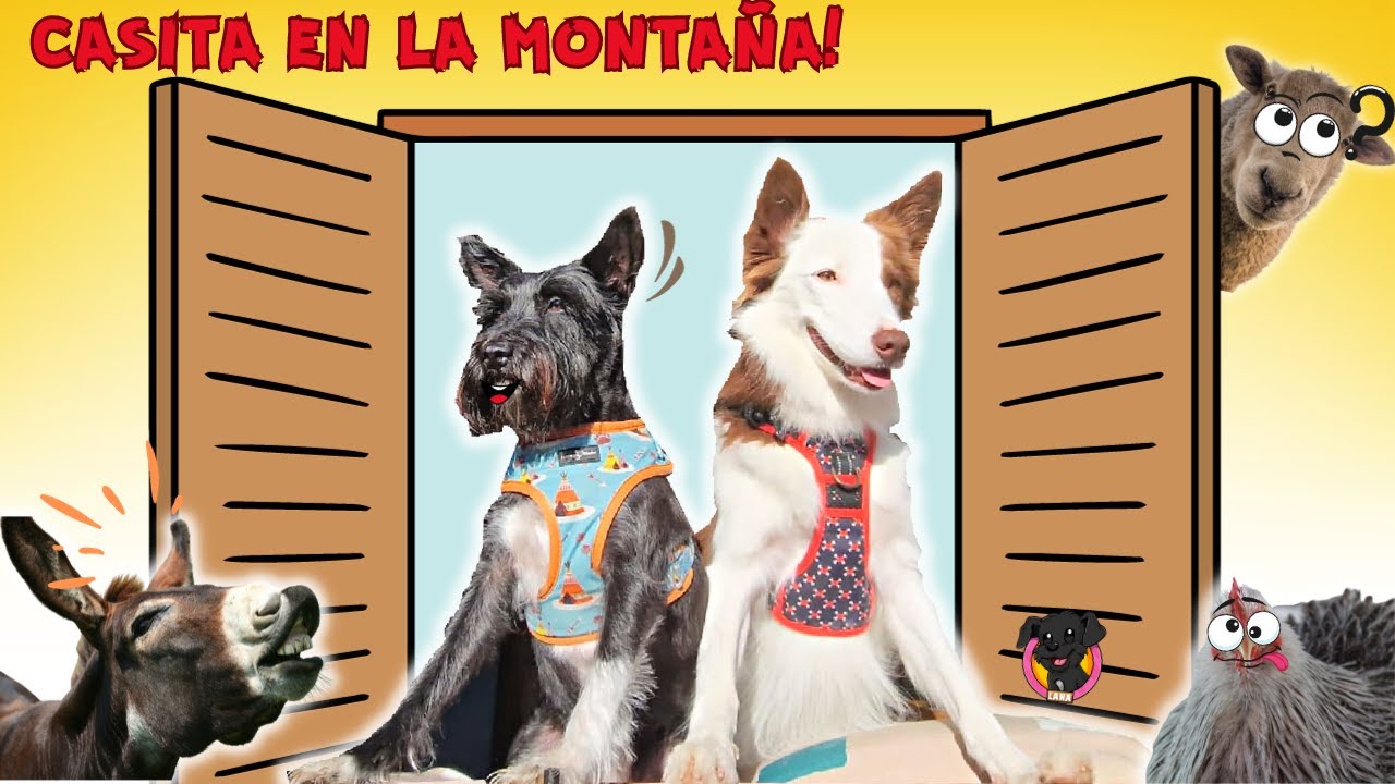 ¡VACACIONES en un ECORESORT CON MEL! 🌻 Lana