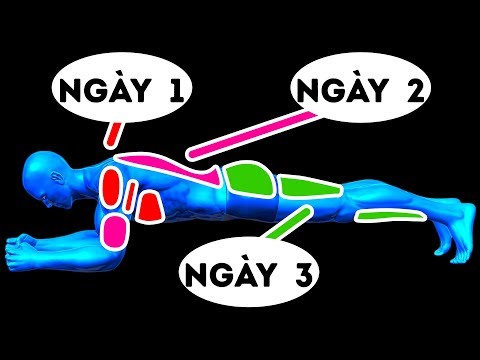 Video: Có Thể Tập Mỗi Ngày Cho Các Nhóm Cơ Khác Nhau Không