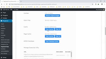 How to Clear Cache PageSpeed Ninja