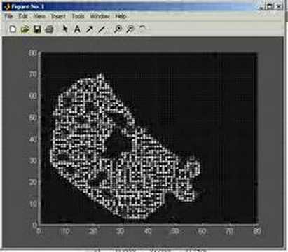 Cool Cellular Automata Step 1: Matlab simulation