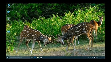 COC 4 - Maintain & Repair Computer System & Network