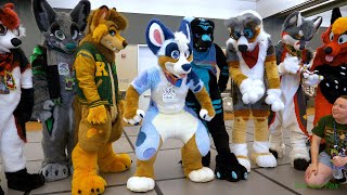 Anthrocon 2023  Fursuiting 101