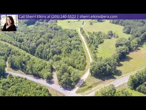 223 Drummond Rd, Talladega, AL home video tour