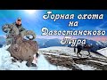 Горная охота на Дагестанского Тура. Mountain hunting on the Dagestan Tour