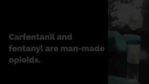What you need to know about heroin, fentanyl and carfentanil