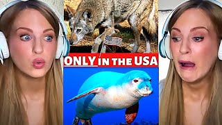 USA only animals - Scary to Cute | Irish Girl Reaction