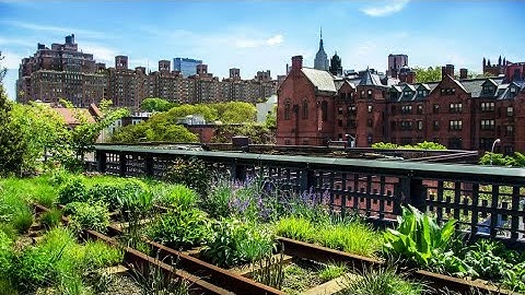 New York City Walking Tour (The High Line) 2021