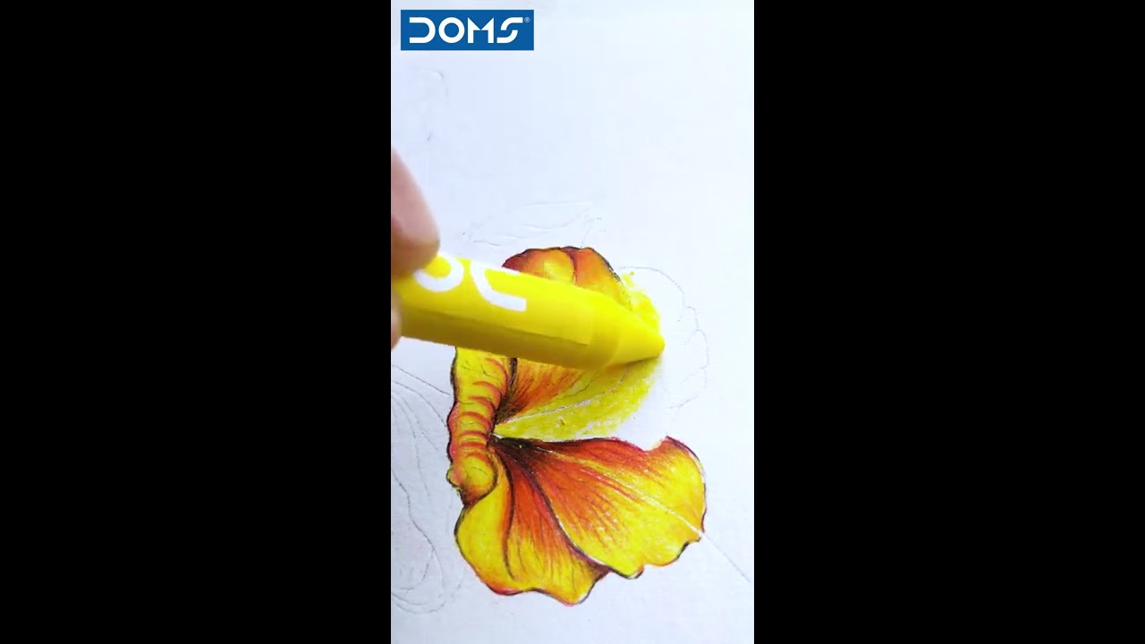 DOMS Jumbo Wax Crayon Dive And Thrive Towards Your Ambitions