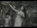 Asom Deshor Bagisare Sowali // Chameli Memsaab (1975) // Hits of Usha Mangeshkar Mp3 Song