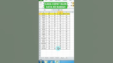 CARA CEPAT BLOK DATA KE BAWAH DI EXCEL #shorts #exceltips #exceltricks